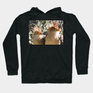 Africican Beauty Hoodie